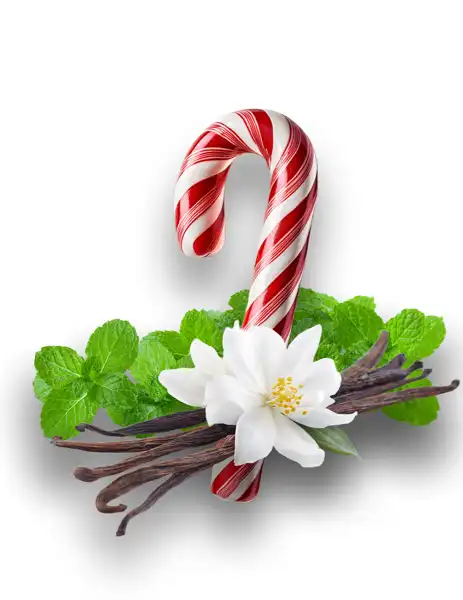 Twisted Peppermint Clean Fragrance - Clean Fragrances